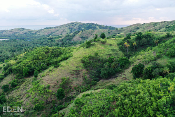 THANKS FOR TURNING BLACK FRIDAY GREEN